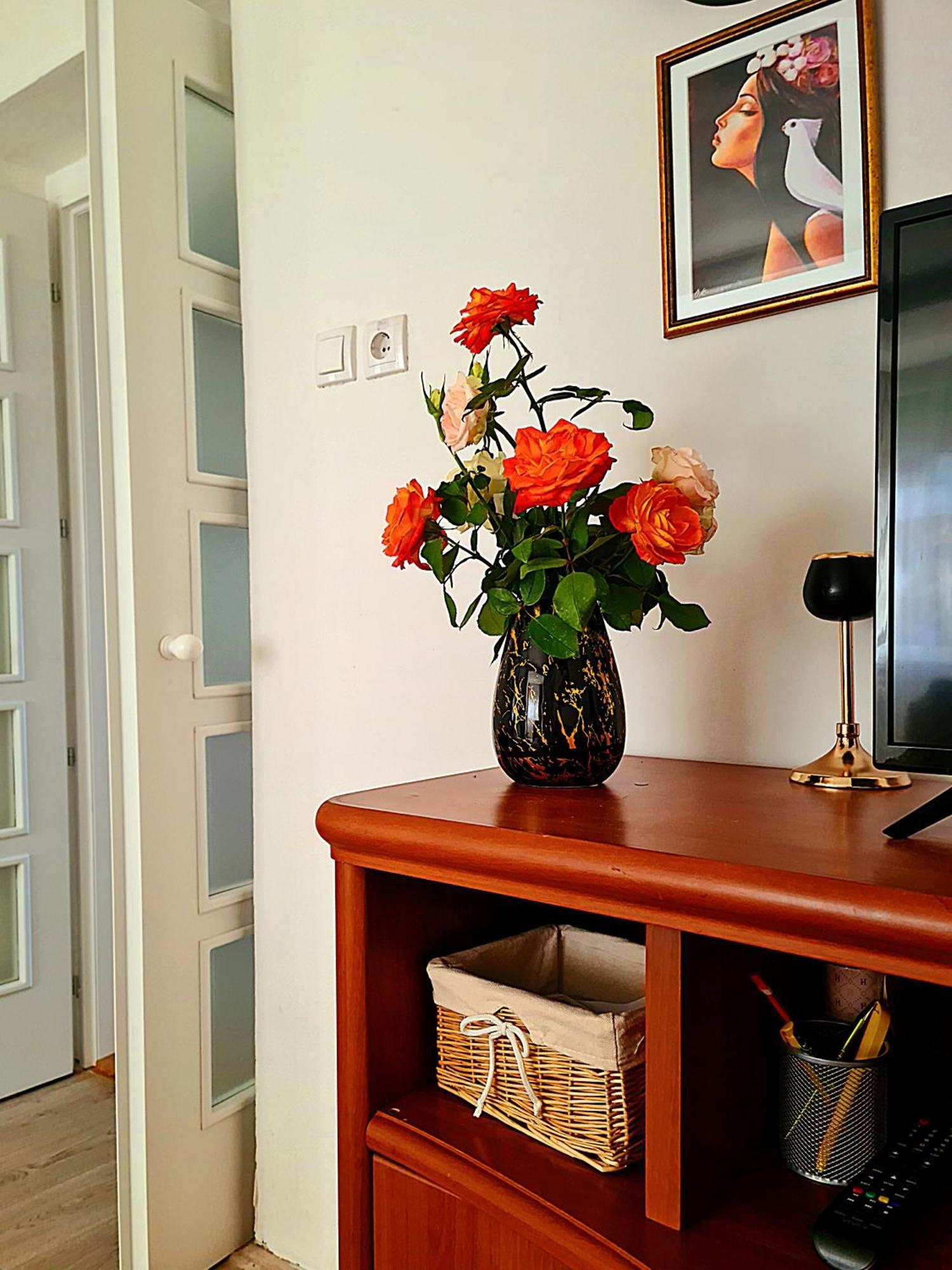 Citys Apartman Apatin Kültér fotó