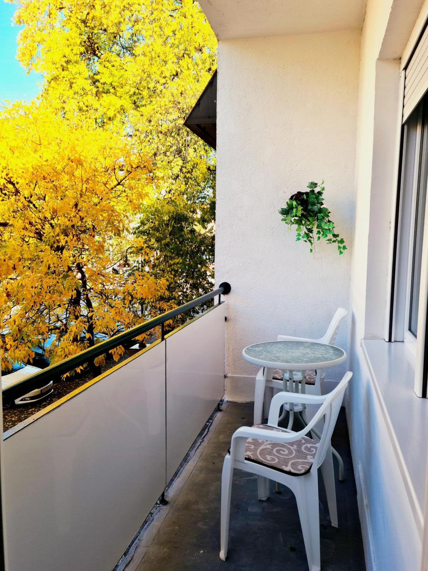 Citys Apartman Apatin Kültér fotó
